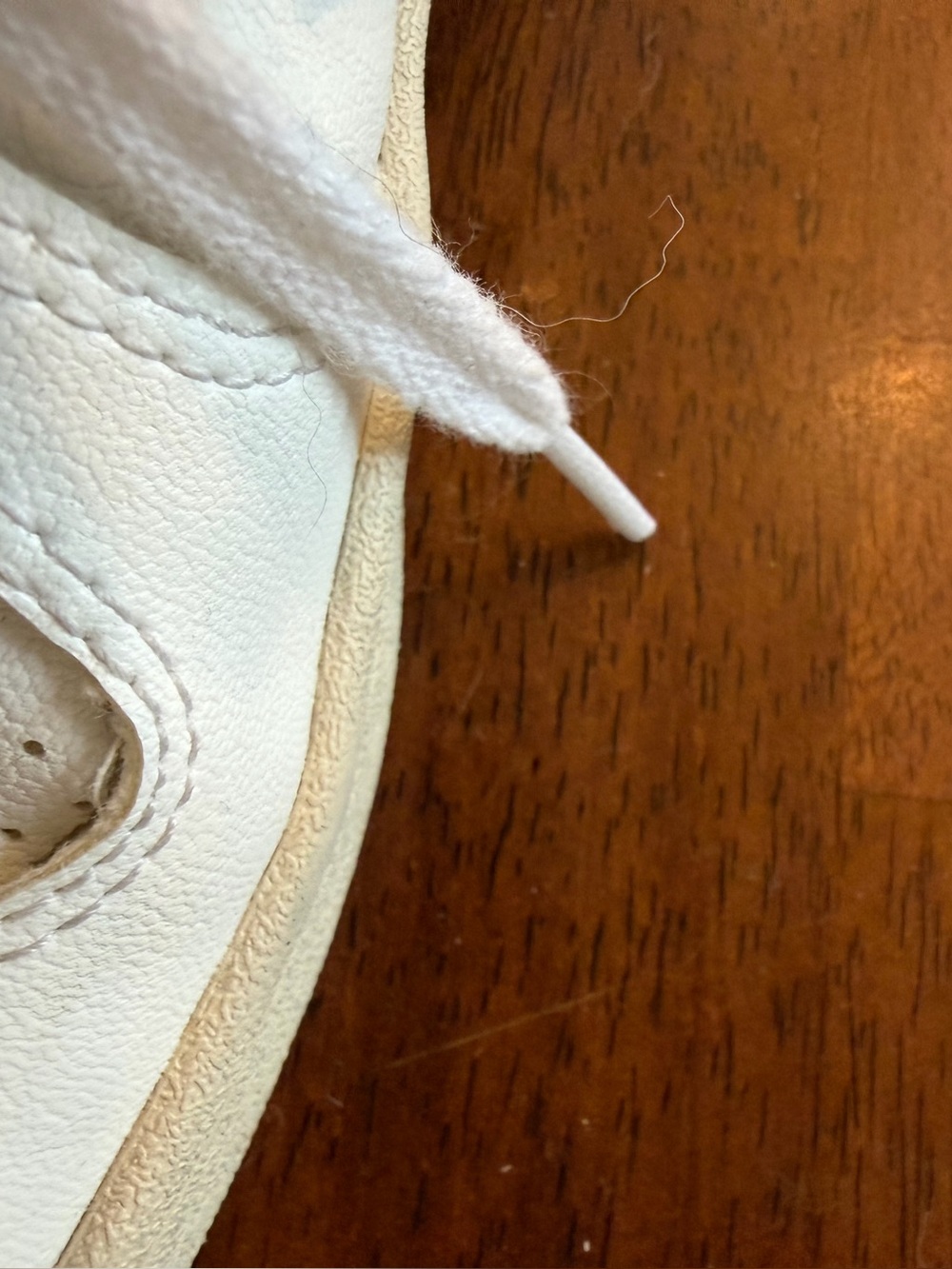 Veja sneaker in white and black - Picture 5 of 5